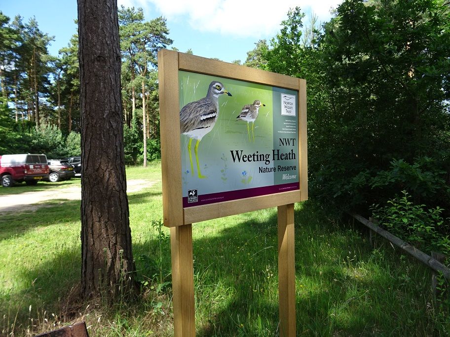 Weeting Heath, Norfolk Wildlife Trust