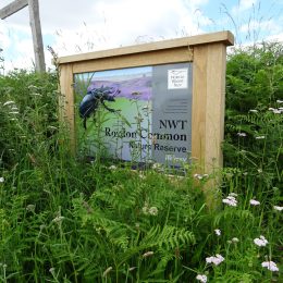 Bowman C Norfolk wildlife trust sign
