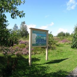 Bowman™ C entrance sign