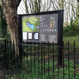Bowman c interpretation orientation sign