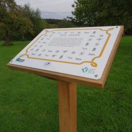 Chelmer wooden interpretation lectern