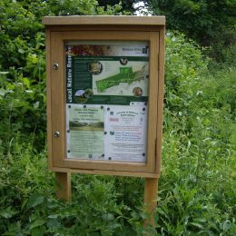 Freestanding hardwood notice board