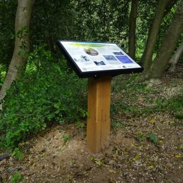 Grenadier™ lectern