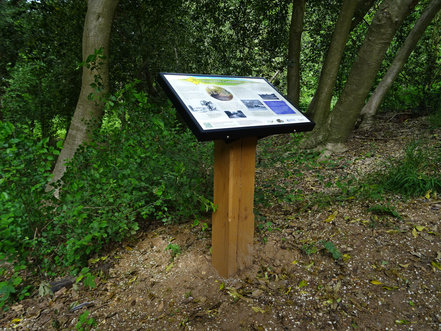 Grenadier™ lectern