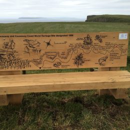 Interpretive bench illustration