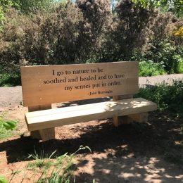 Interpretive wooden bench quotation