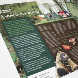 n-viro interpretation panel