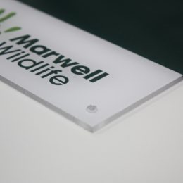 Polycarbonate graphic panel