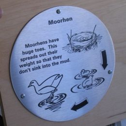 Stainless steel disc