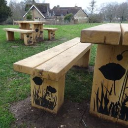Verdyn interpretive picnic table