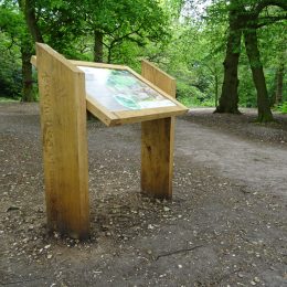 Woodsman™ lectern