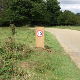 Woodsman speed restriction