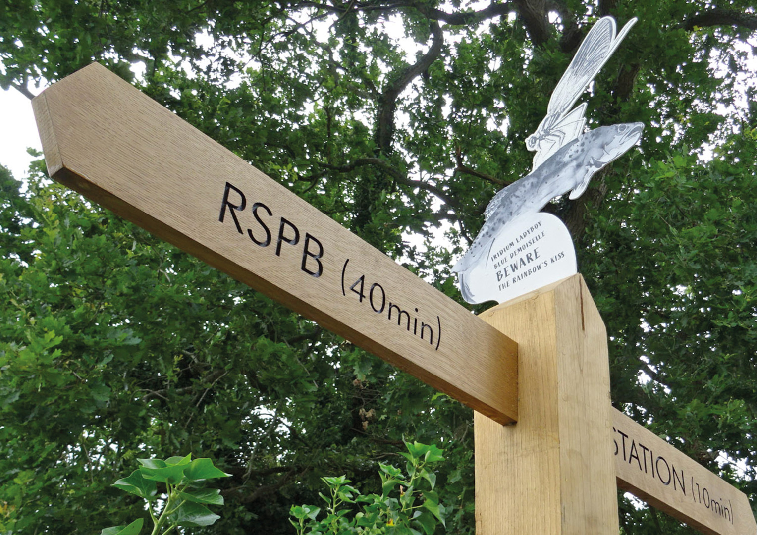 Bringing art, nature and storytelling together on the Pulborough WildArt Trail
