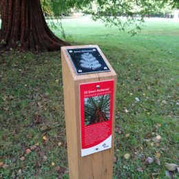Activity trail oak waymarking post