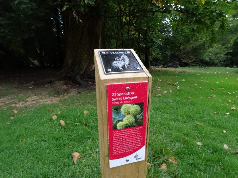 Activity trail waymarking post
