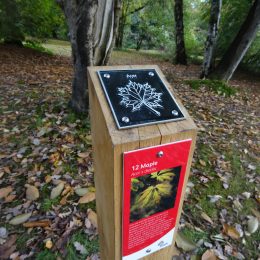 Activity visitor trail waymarking post