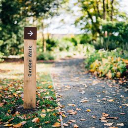 Grenadier oak waymarking post