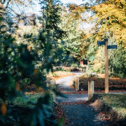 Grenadier park fingerpost