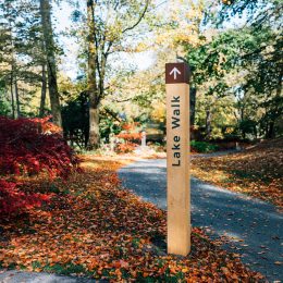 Grenadier waymarking oak post