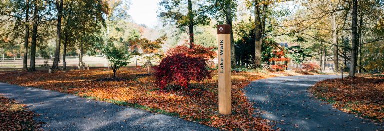 Waymarking Posts