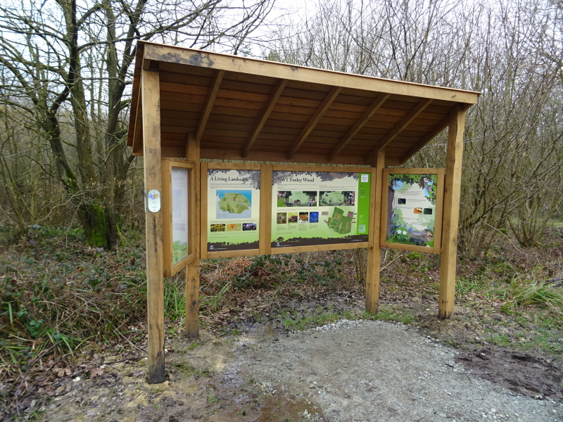 Foxley Wood, Norfolk Wildlife Trust