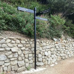 Sentinel finger post