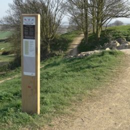 Woodsman waymarking post oak