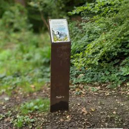 Corten weathering laser cut steel lectern