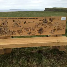 Interpretive bench illustration
