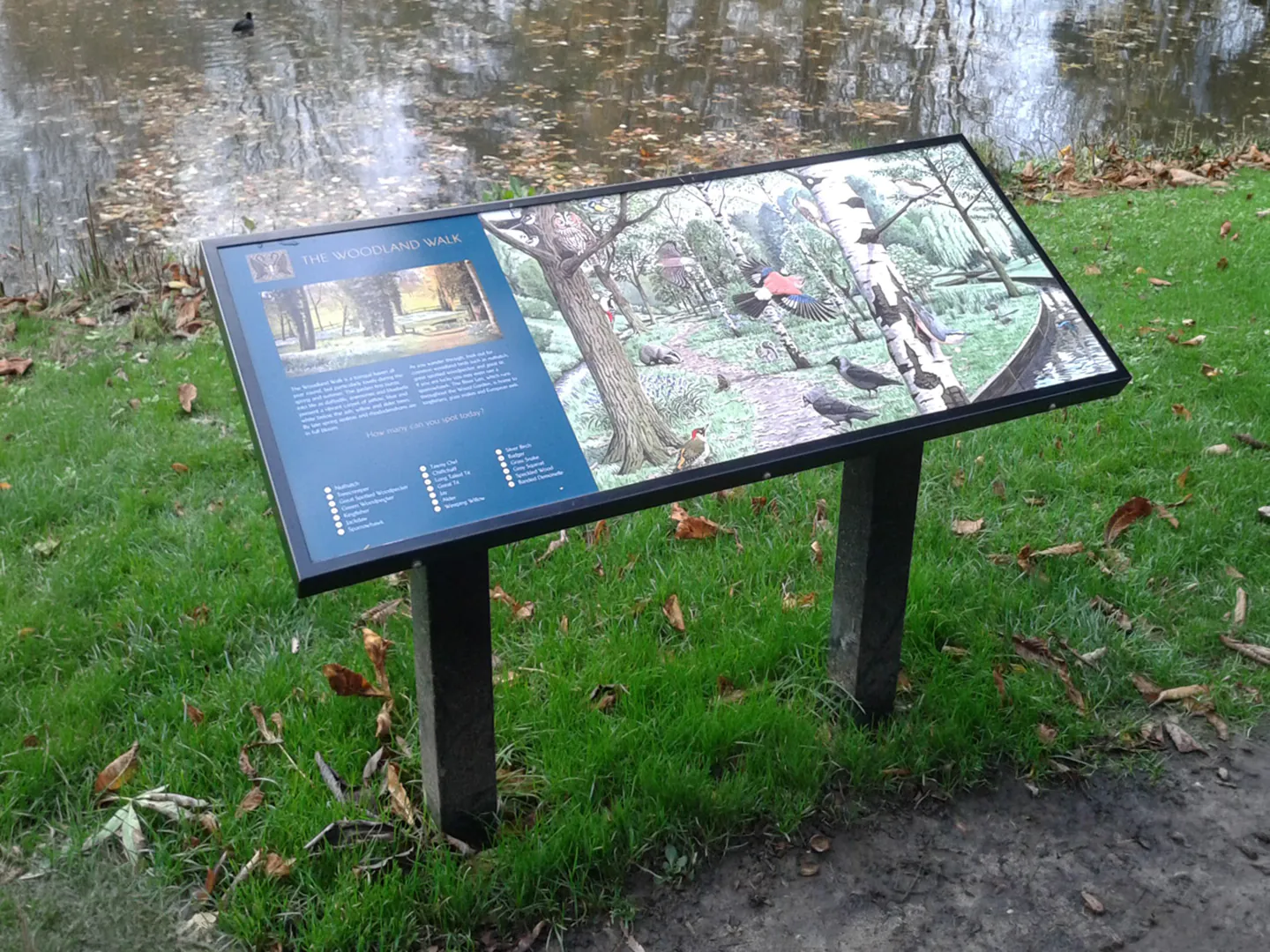 Musketeer steel panoramic lectern