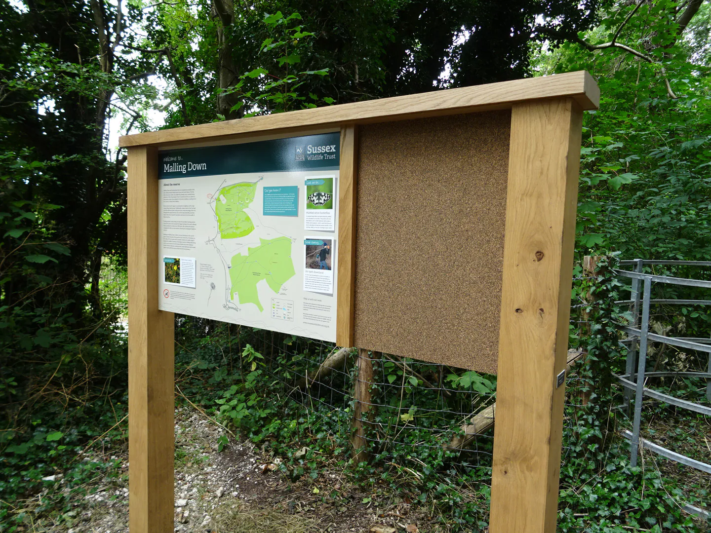 Bowman™ Option B combination display