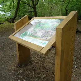 Woodsman™ lectern