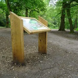 Woodsman™ lectern
