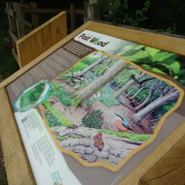 Woodsman™ lectern