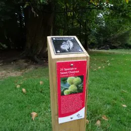 Activity trail waymarking post
