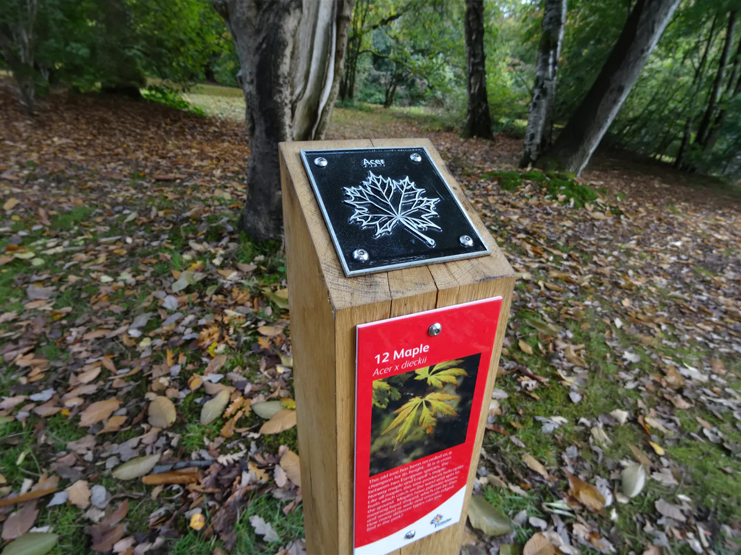 Activity visitor trail waymarking post