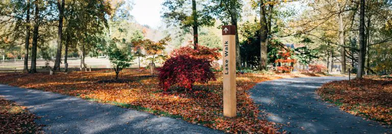 Waymarking Posts