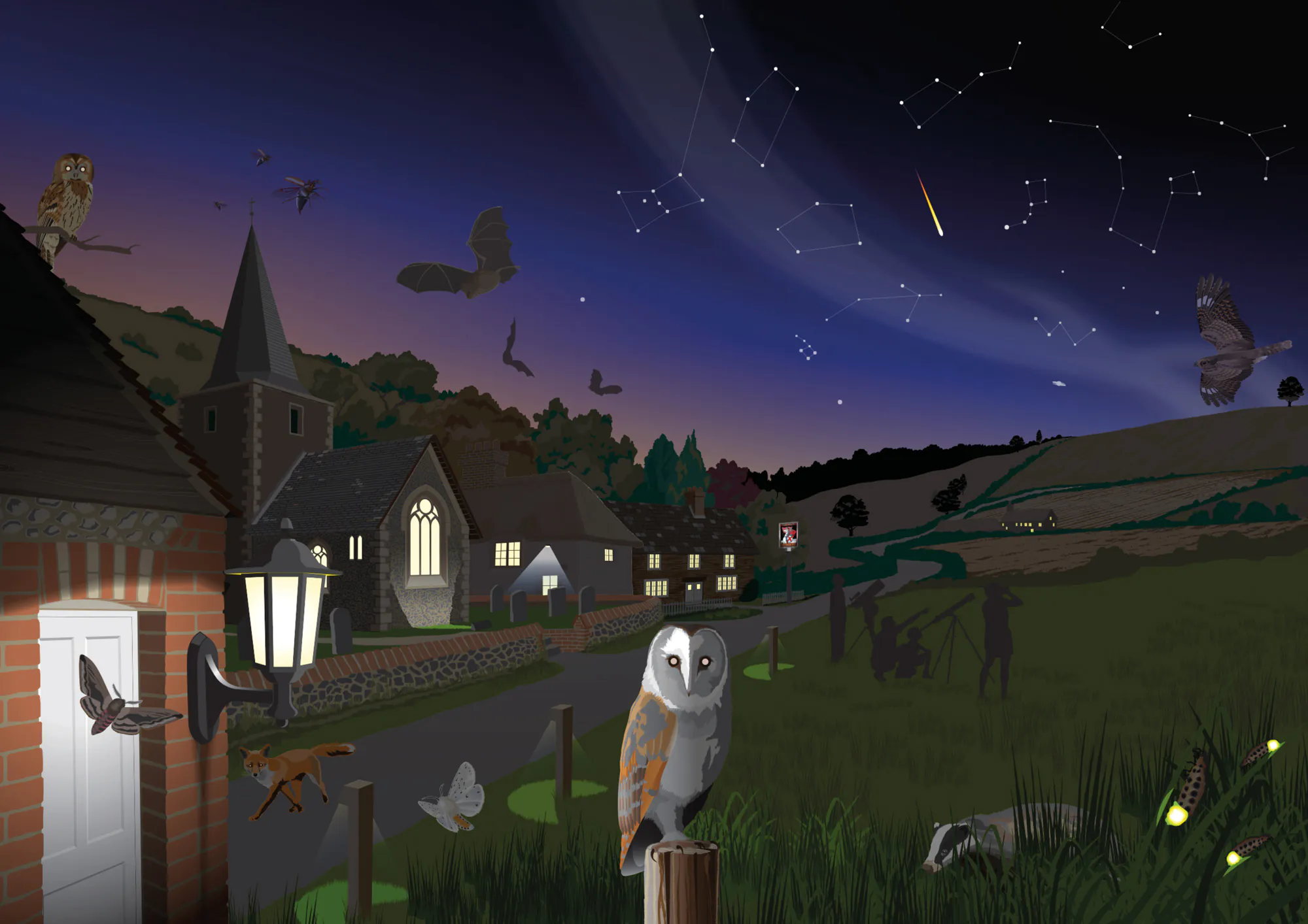 Illustration images night sky wildlife