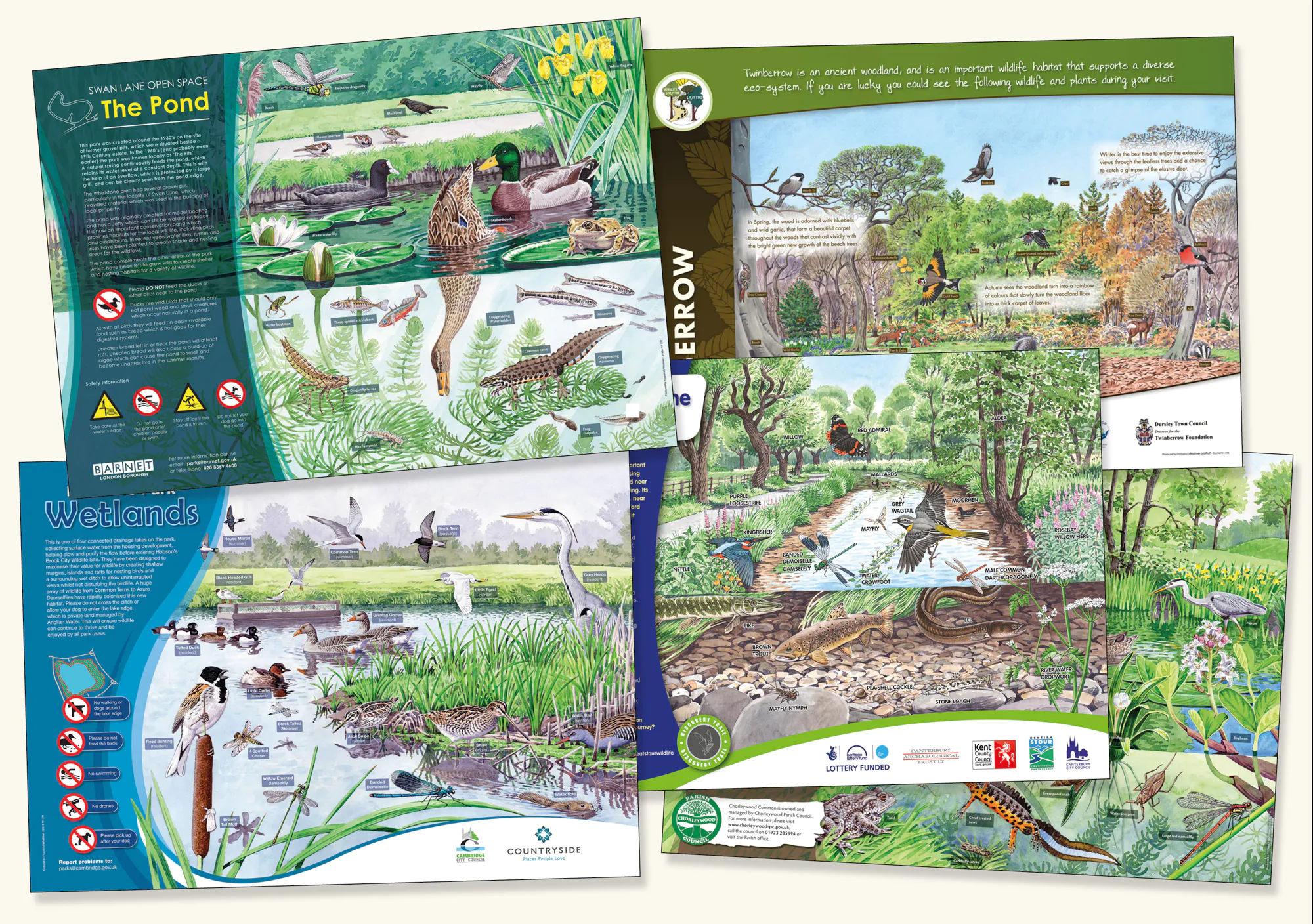 Interpretation panels wildlife illustration