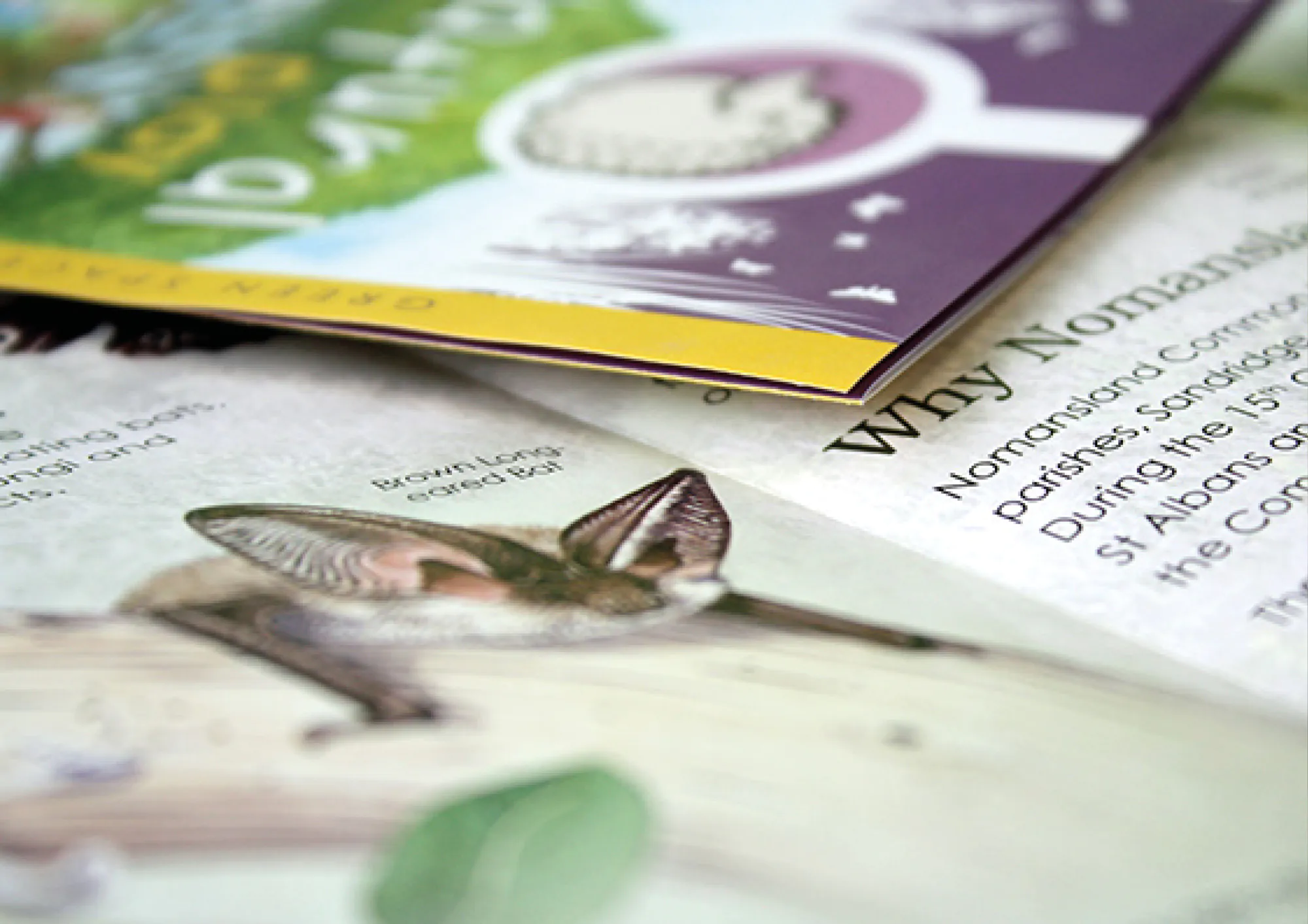 Printed literature leaflet collection