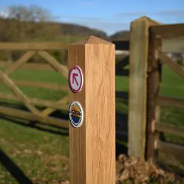 Waymarking post oak with waymarking disc