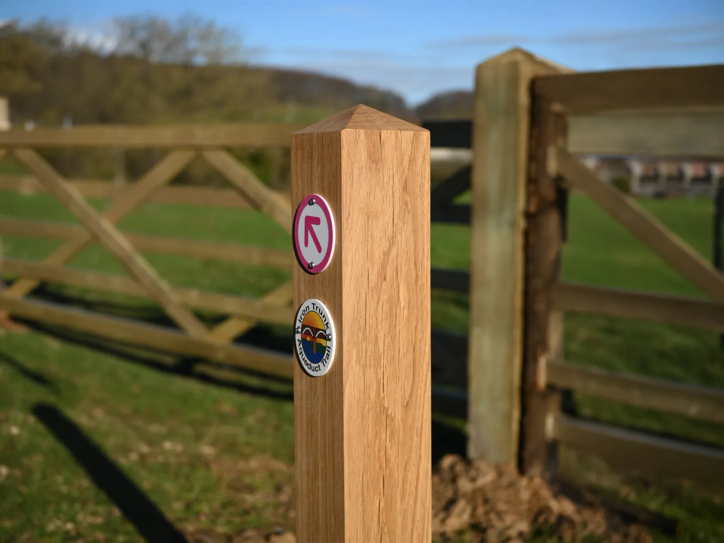 Waymarking post oak with waymarking disc