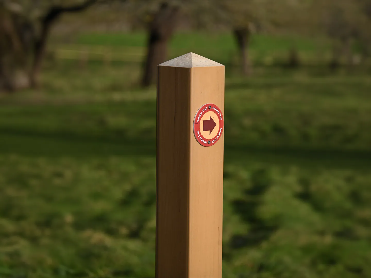 Waymarking post recycled plastic with disc